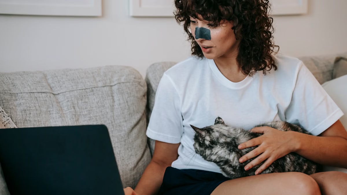 Crop young self employed lady in casual clothes with skin care patch on nose caressing adorable cat while working remotely on laptop at home
